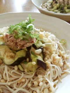 蒸しなすのぶっかけそうめん☆離乳食にも♪-レシピのメイン写真