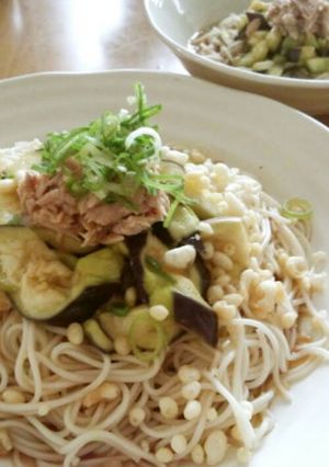 蒸しなすのぶっかけそうめん☆離乳食にも♪-レシピのメイン写真
