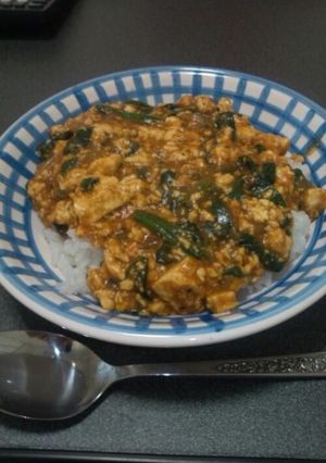 豆腐とほうれん草のカレー-レシピのメイン写真