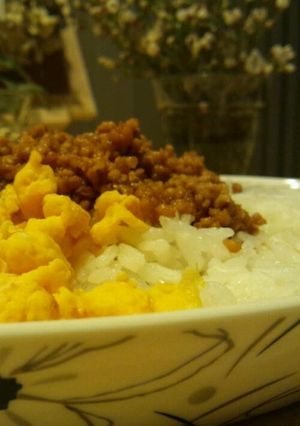 簡単二色どんぶり-レシピのメイン写真