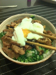 塩麹で*スタミナ豚丼-レシピのメイン写真