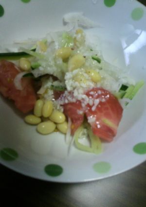 生野菜塩麹ドレシッングかけ-レシピのメイン写真