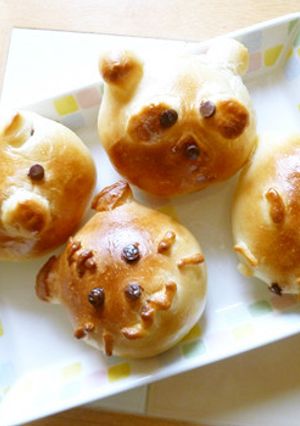 動物パン～コブタ♪たぬき♪キツネ♪ねこ～-レシピのメイン写真