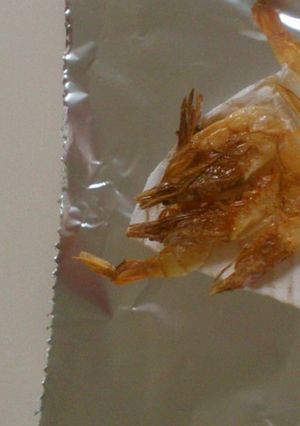 えびちーず-レシピのメイン写真