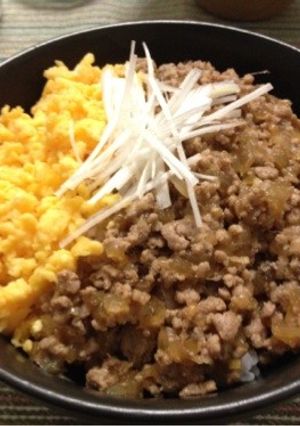 怒りながら作った豚そぼろ丼。-レシピのメイン写真