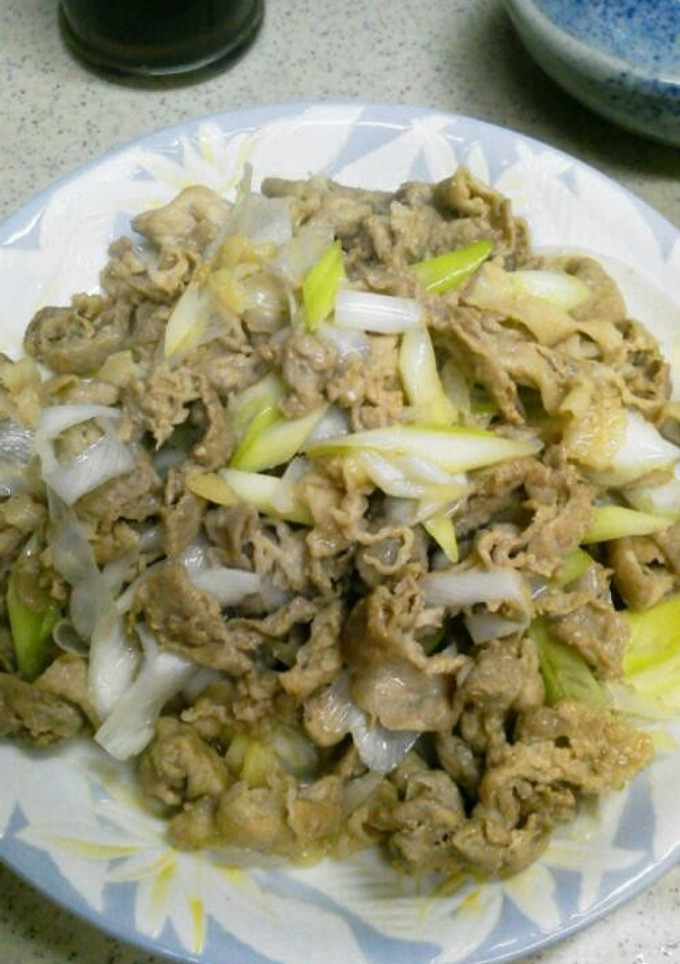 豚肉のあっさりネギ塩炒め-レシピのメイン写真