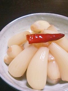 甘酢漬けらっきょう-レシピのメイン写真