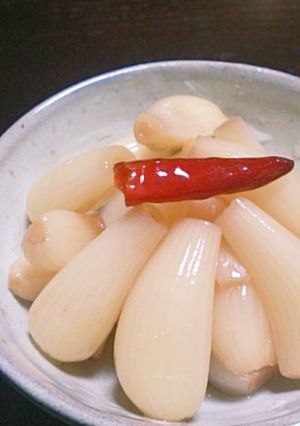 甘酢漬けらっきょう-レシピのメイン写真