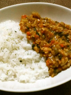 夏はレンジにおまかせ☆キーマカレー-レシピのメイン写真