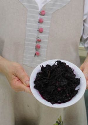 しそ漬け梅干し作りに「もみじそ」-レシピのメイン写真