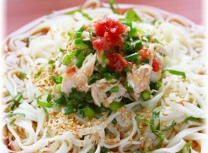 ✿ささみの梅和え＊ぶっかけ冷やしうどん✿-レシピのメイン写真