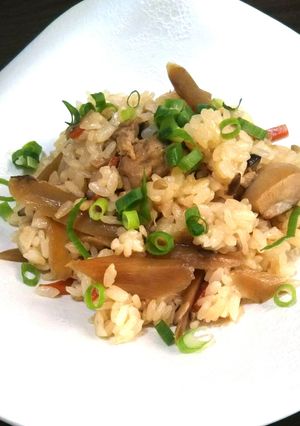 ごぼう&鶏肉の混ぜご飯〈ごま油風味〉-レシピのメイン写真