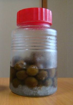 簡単☆梅シロップ～早く飲みたいときに～-レシピのメイン写真