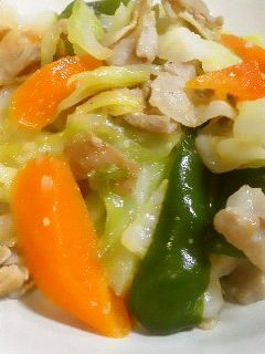 塩麹入り野菜炒め-レシピのメイン写真