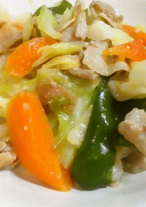 塩麹入り野菜炒め-レシピのメイン写真