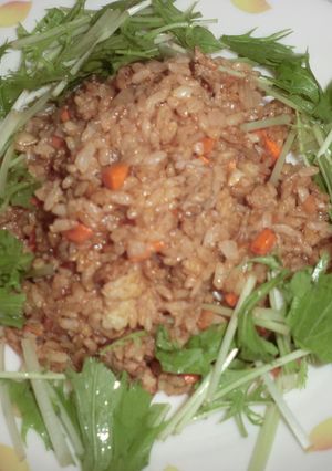 残り物★ソース飯-レシピのメイン写真