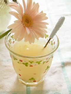 レモンジンジャー~ミント風味。-レシピのメイン写真