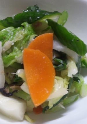 塩麹in野菜のキャッチボール漬け-レシピのメイン写真