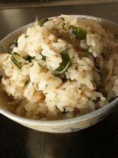ワカメじゃこご飯-レシピのメイン写真