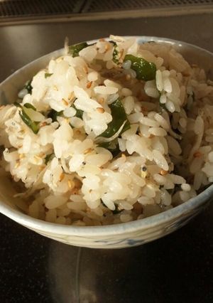 ワカメじゃこご飯-レシピのメイン写真