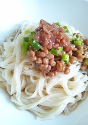 さっぱり♪ぶっかけうどん-レシピのメイン写真