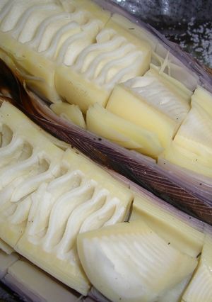 たけのこをｸﾞﾘﾙで丸焼き～～♪-レシピのメイン写真