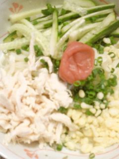 梅とささみのさっぱり冷たいたぬきうどん-レシピのメイン写真