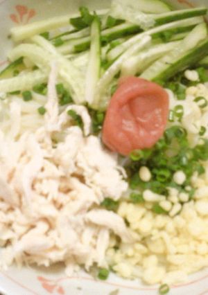 梅とささみのさっぱり冷たいたぬきうどん-レシピのメイン写真