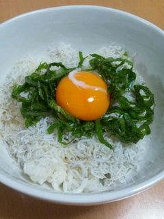 最高!!おいしい☆しらす丼-レシピのメイン写真