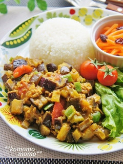 ナスたっぷり♫野菜と挽肉のドライカレー-レシピのメイン写真