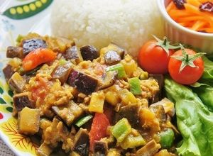 ナスたっぷり♫野菜と挽肉のドライカレー-レシピのメイン写真