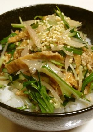 新生姜♪きざんで♪まぜて♪助かる丼-レシピのメイン写真