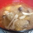 ササミ団子のみぞれスープ