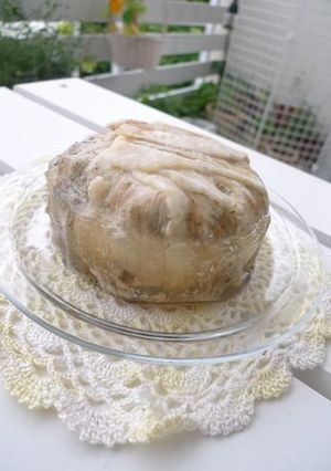わんこのテリーヌ-レシピのメイン写真
