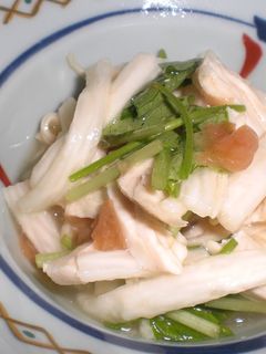ささみと梅のさっぱり酢の物-レシピのメイン写真