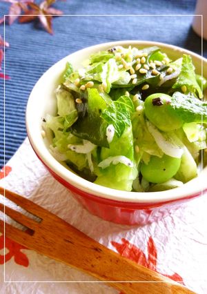 キャベツとしらすと枝豆の紫蘇風味甘酢和え-レシピのメイン写真