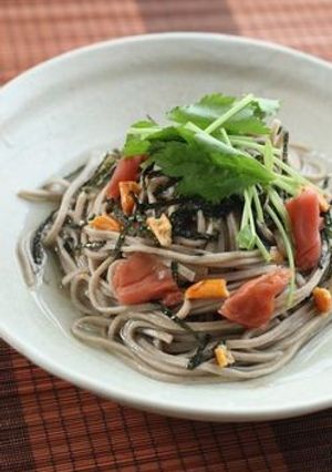 ササッと簡単！お茶漬けそば-レシピのメイン写真