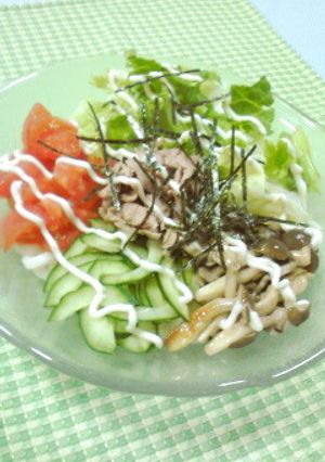 ヘルシー☆簡単☆和風サラダうどん-レシピのメイン写真