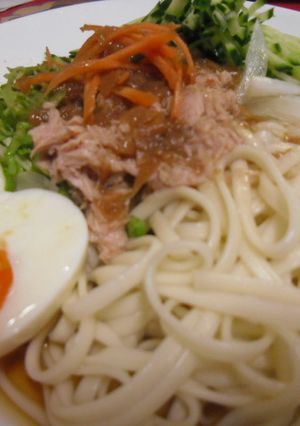 冷やし梅うどん-レシピのメイン写真