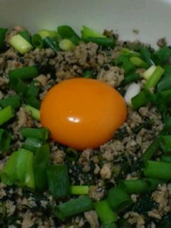 *ヘルシー*豆腐入り鶏そぼろ丼*-レシピのメイン写真