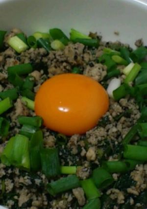 ＊ヘルシー＊豆腐入り鶏そぼろ丼＊-レシピのメイン写真