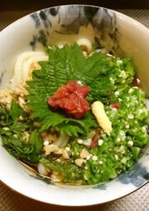 ✿ネバってツルンとぶっかけうどん✿-レシピのメイン写真