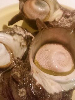 簡単!サザエの下ごしらえ☆冷凍もOK-レシピのメイン写真