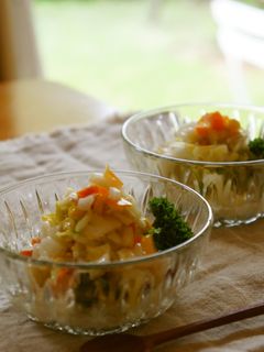 白菜コールスローサラダ-レシピのメイン写真