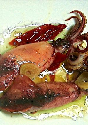 ボイルやりいかのにんにくオイル煮-レシピのメイン写真