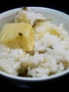 ちりめん山椒いり筍ご飯-レシピのメイン写真