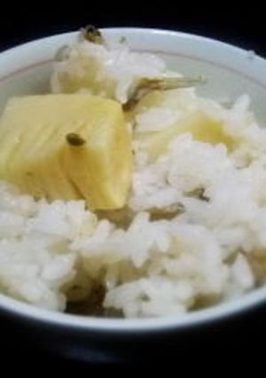 ちりめん山椒いり筍ご飯-レシピのメイン写真