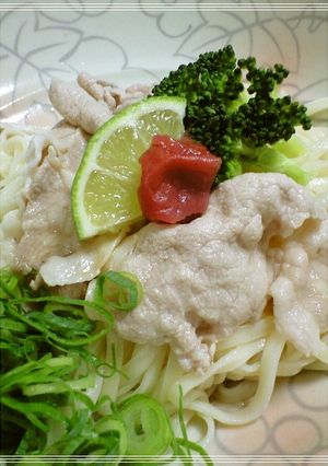 塩ポン酢タレでさっぱりぶっかけうどん-レシピのメイン写真