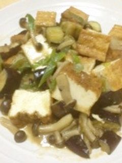 厚揚げとナスの味噌炒め-レシピのメイン写真