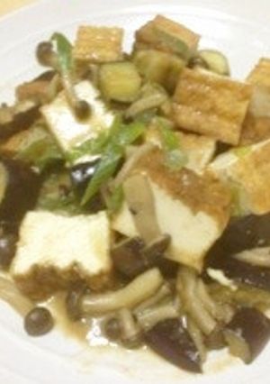 厚揚げとナスの味噌炒め-レシピのメイン写真